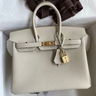 Hermes Birkin Bag Togo Leather Gold Hardware In Beige