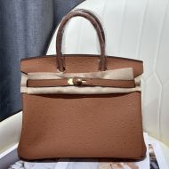 Hermes Birkin Bag Ostrich Leather Gold Hardware In Brown