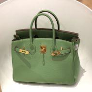 Hermes Birkin Bag Togo Leather Gold Hardware In Greenery